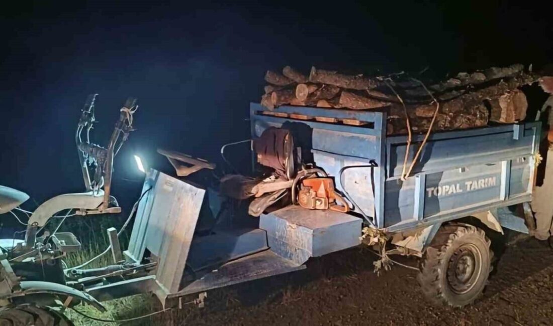 Antakya ilçesinde ormanlık alanda usulsüz ağaç kesimi yaparak doğaya zarar