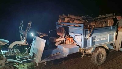 Antakya ilçesinde ormanlık alanda usulsüz ağaç kesimi yaparak doğaya zarar