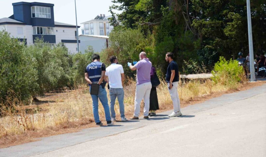 Antalya’da, 25 yaşındaki bir genç, elleri arkadan bağlı halde ağaçlık