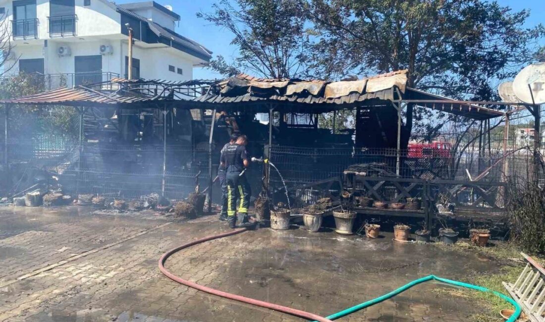 Serik ilçesinde meydana gelen yangın, çevredeki villalara ve otel lojmanına