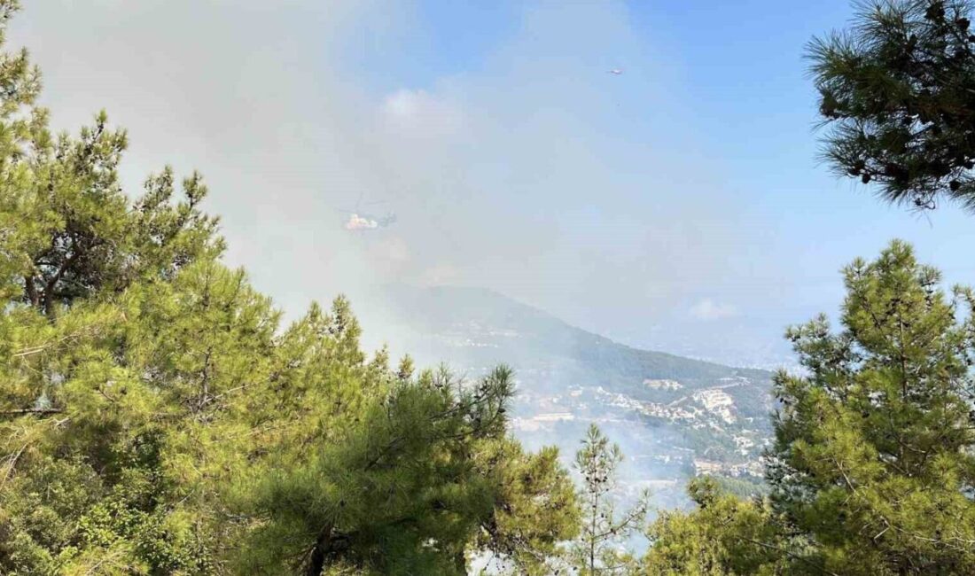Antalya’nın Alanya ve Konyaaltı ilçelerinde aynı saatlerde başlayan orman yangınlarına,
