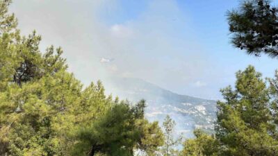 Antalya’nın Alanya ve Konyaaltı ilçelerinde aynı saatlerde başlayan orman yangınlarına,