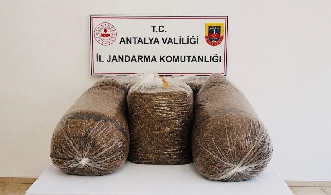 Antalya İl Jandarma Komutanlığı ekipleri, Aksu ve Serik ilçelerinde kaçak