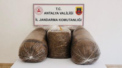 Antalya İl Jandarma Komutanlığı ekipleri, Aksu ve Serik ilçelerinde kaçak
