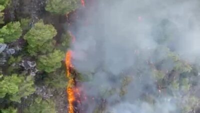 Antalya’nın Kemer ilçesinde bulunan ormanlık alanda yangın çıktı. Yangınla ilgili