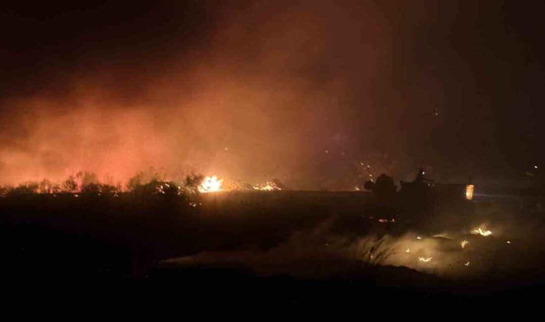 Antalya’nın Serik ilçesinde çıkan yangın, rüzgarın etkisiyle hızla yayılarak yaklaşık