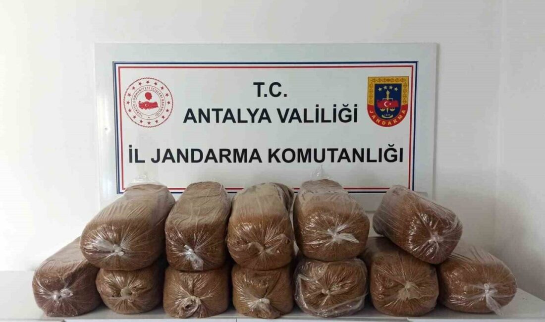 Antalya’nın Aksu, Alanya ve Demre ilçelerinde düzenlenen kaçakçılık operasyonlarında 785