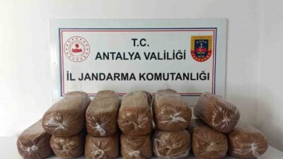 Antalya’nın Aksu, Alanya ve Demre ilçelerinde düzenlenen kaçakçılık operasyonlarında 785