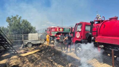 Antalya’nın Manavgat ilçesine bağlı Bucakşeyhler Mahallesi’nde, Seleukea Antik kentine yakın