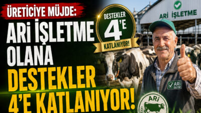 Yerköy İlçe Tarım ve Orman Müdürlüğü, Tarım ve Orman Bakanlığı