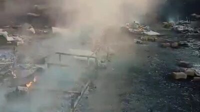 Eskişehir ilindeki bir arı kovanında meydana gelen yangın faciasında büyük