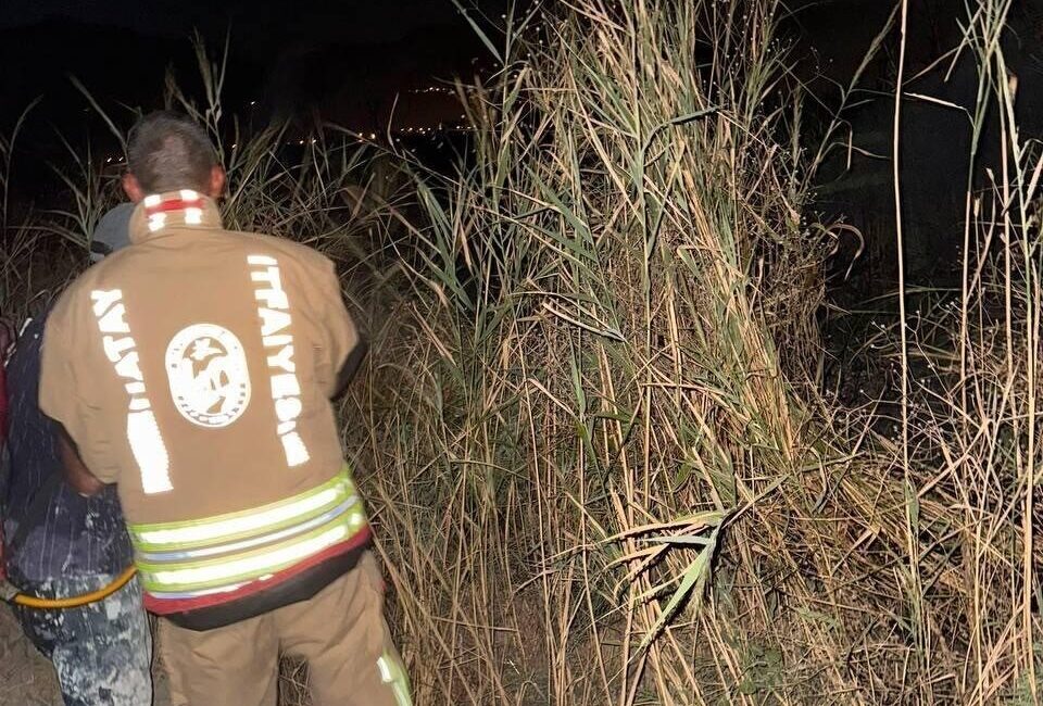 Arsuz ilçesinde meydana gelen yangın, Orman Genel Müdürlüğü ve Hatay