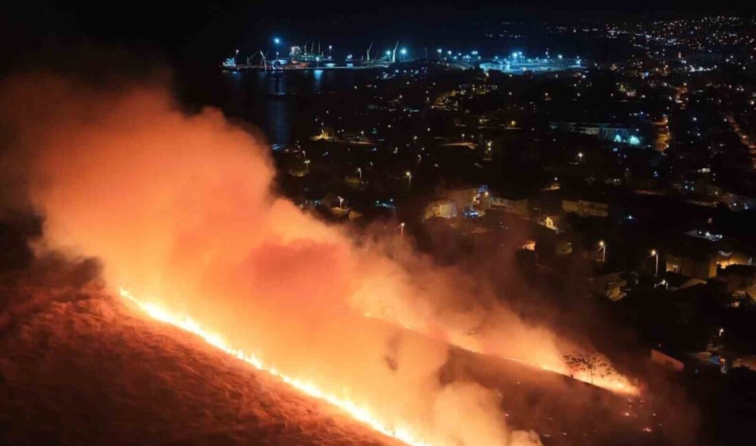 Marmaraereğlisi ilçesinin Aşıklar Tepesi mevkiinde meydana gelen yangın, gece saatlerinde
