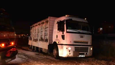 Hendek ilçesinde meydana gelen olayda, tuz ruhu taşıyan bir kamyonun