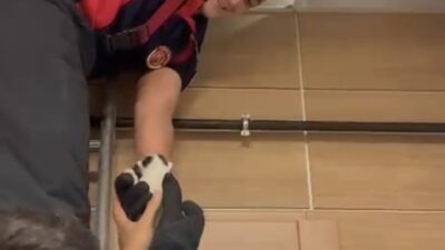 Çankırı’da itfaiye ekibi, bir binanın asma tavanında mahsur kalan yavru