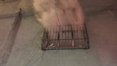 Siirt’te bir kişi, eşiyle yaşadığı tartışma sonrasında sinirlenerek evini ateşe