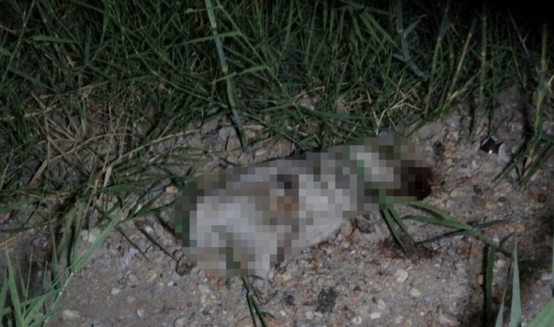 Manavgat ilçesinde, ATV ile çarpılan ve başına taşla vurularak öldürüldüğü