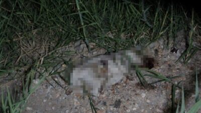 Manavgat ilçesinde, ATV ile çarpılan ve başına taşla vurularak öldürüldüğü