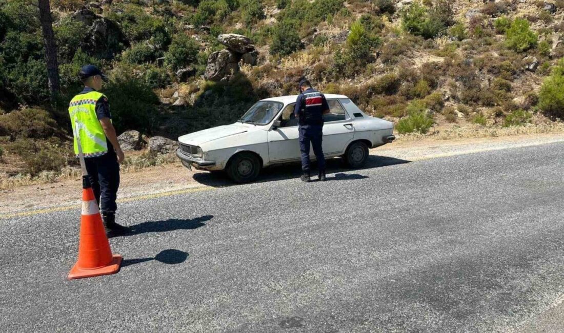 Aydın ilinde jandarma ekipleri tarafından yapılan operasyonlarda çeşitli suçlardan aranan