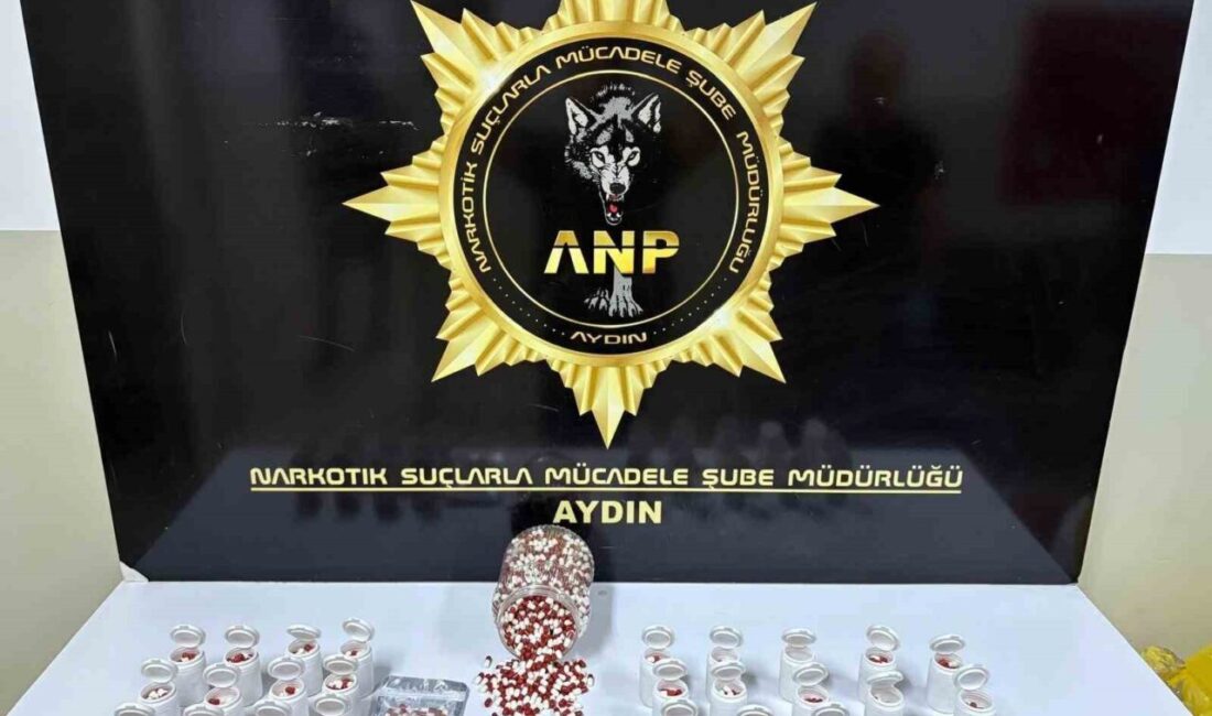 Aydın’ın Efeler ilçesinde gerçekleştirilen operasyonda polis ekipleri tarafından 2 bin