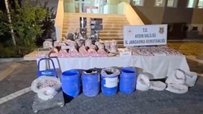 Didim ilçesinde Jandarma tarafından gerçekleştirilen bir operasyonda, sentetik uyuşturucu hap