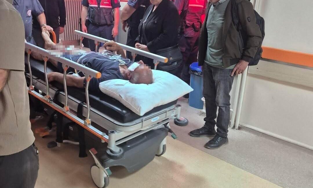 Sivas’ın İmranlı ilçesinde bir çoban, yanındaki köpekler sayesinde ayı saldırısından