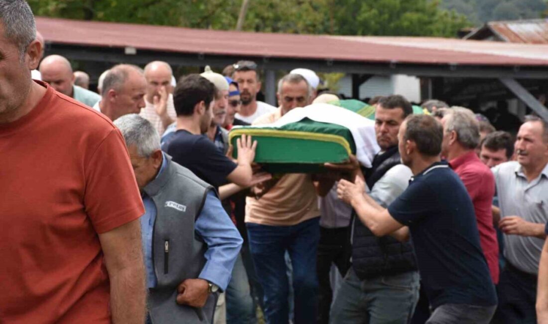 Sakarya’da bir fındık bahçesinde çalışırken aniden kalp krizi geçiren 58