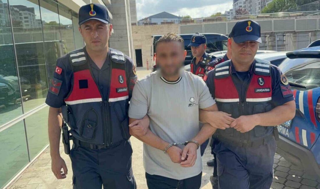 Samsun’un Tekkeköy ilçesinde, fındık toplamak için Fransa’dan Samsun’a gelen Mustafa