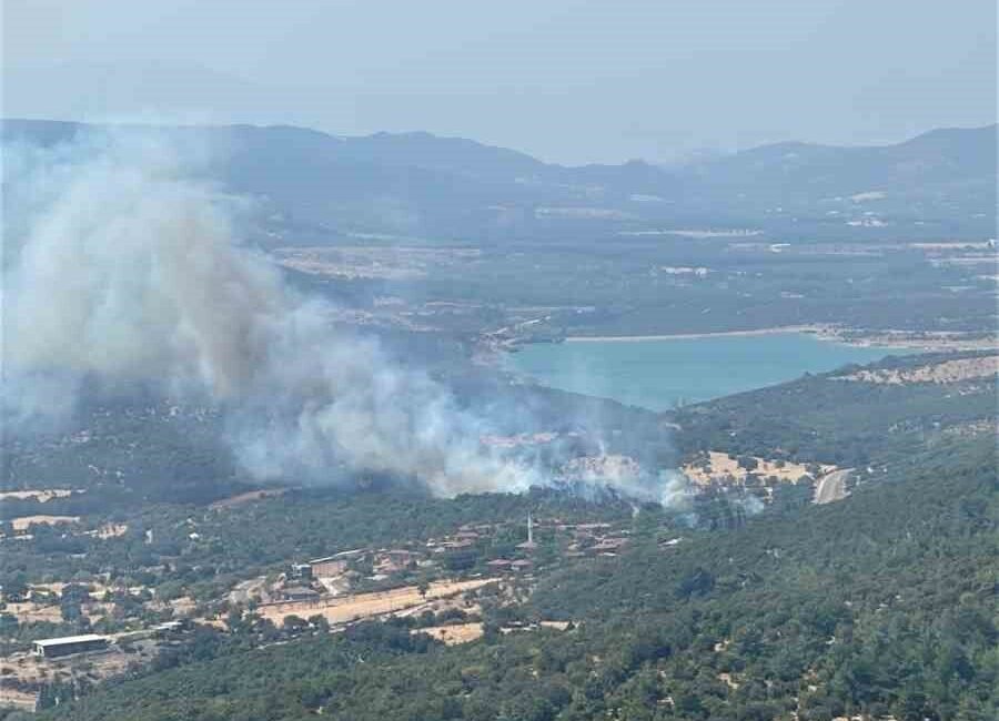 Çanakkale’nin Ayvacık ilçesinde meydana gelen orman yangınına Orman Bölge Müdürlüğü