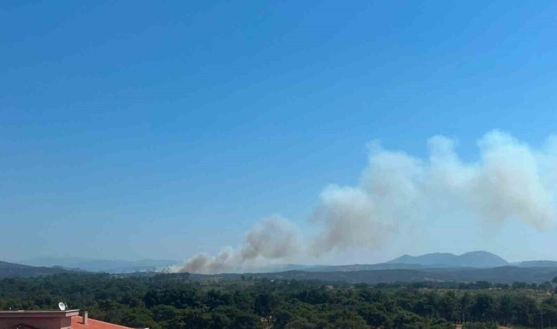 Çanakkale’nin Ayvacık ilçesinde, Dibekli köyü yakınlarında bulunan otluk alanda meydana