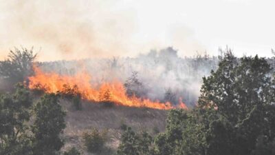 Babaeski ilçesine bağlı Taşağıl köyünde meydana gelen anız yangını, rüzgarın