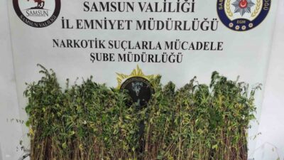 Samsun’un Bafra ilçesinde polis ekipleri tarafından yapılan uyuşturucu operasyonunda bin
