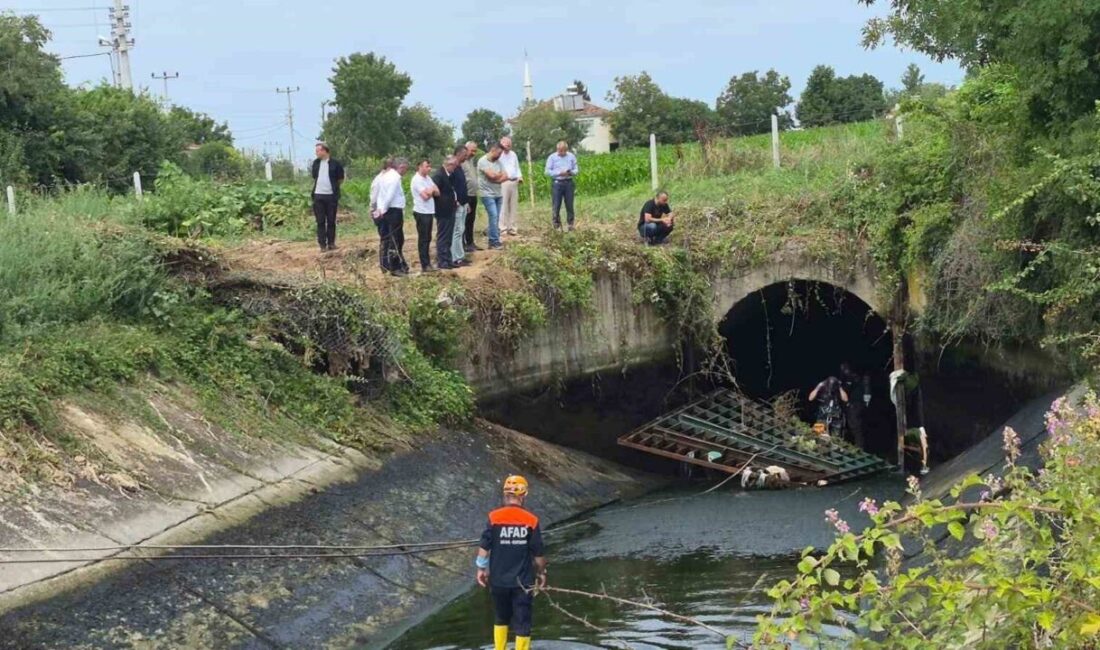 Samsun’un Bafra ilçesinde bir otomobilin kontrolünü kaybederek sulama kanalına düşmesi