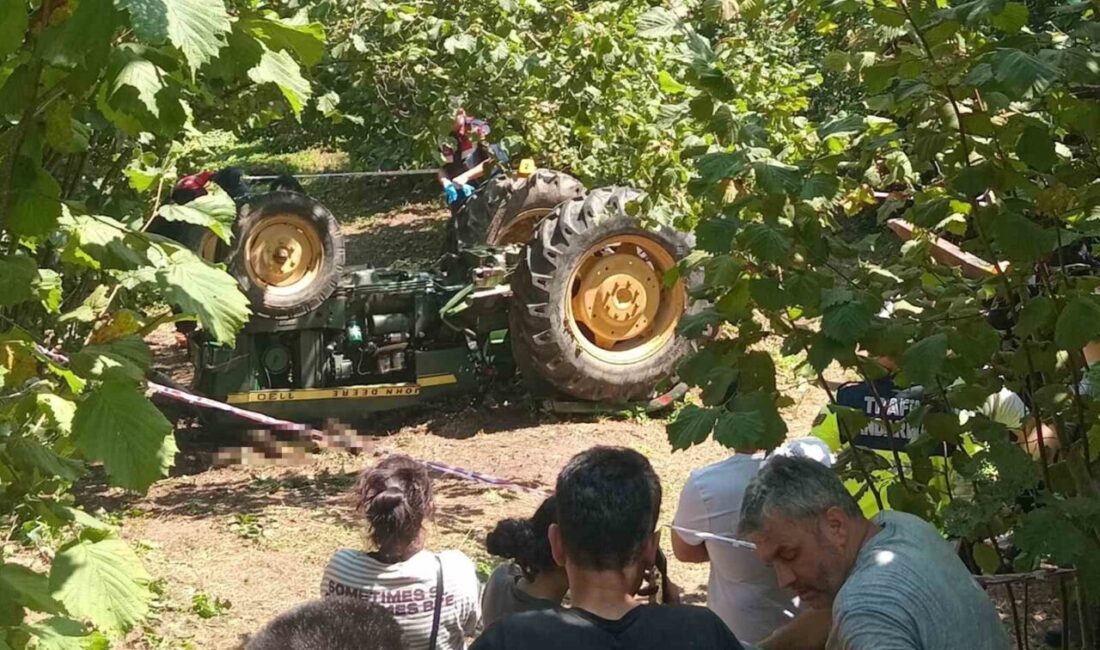 Ünye ilçesinde, bir fındık bahçesine eşini ziyarete giden Mehmet Koç