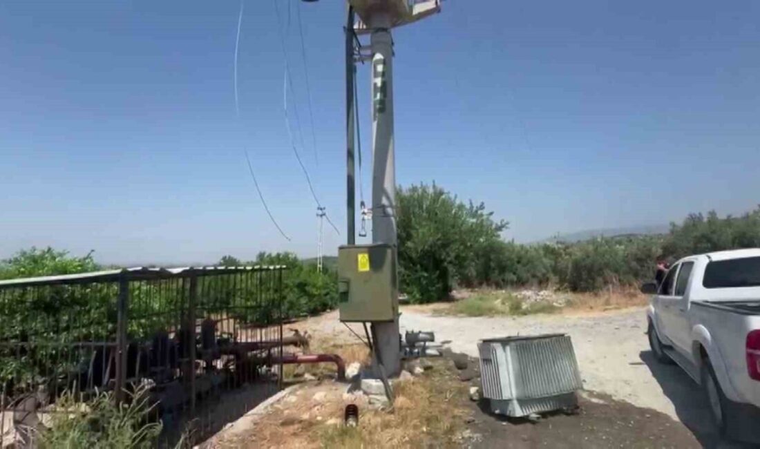 Hatay’da narenciye bahçelerini sulamak için kullanılan trafo hırsızların hedefi oldu.