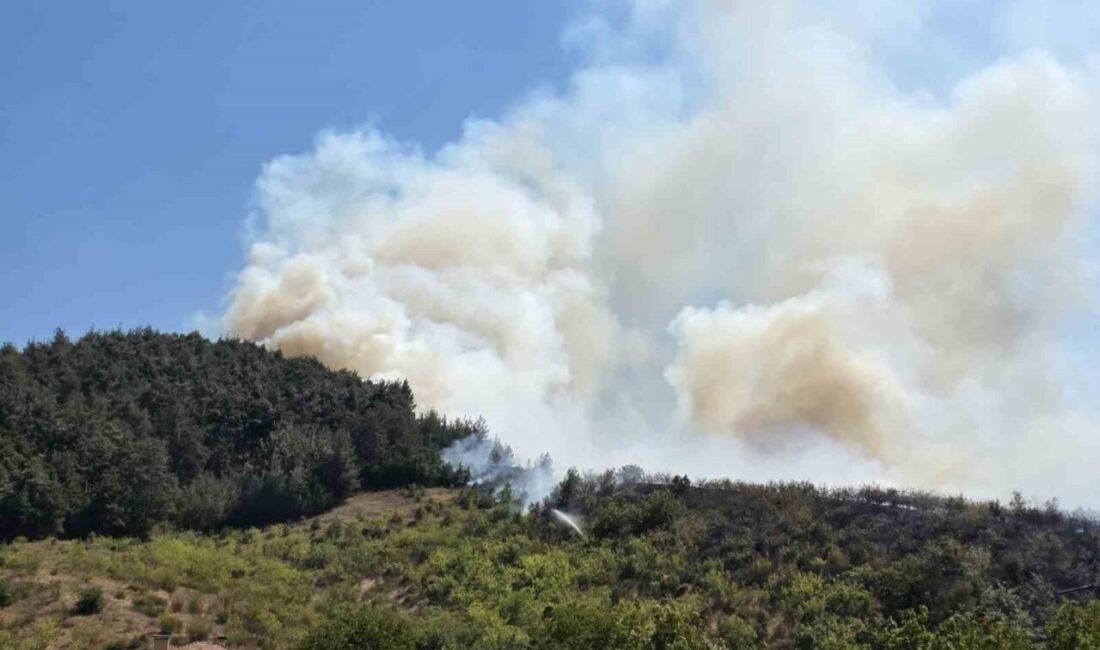 Balıkesir’in Dursunbey ilçesinde çıkan yangın, ormanlık alana kadar yayıldı. Yangına