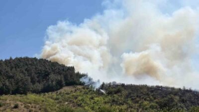 Balıkesir’in Dursunbey ilçesinde çıkan yangın, ormanlık alana kadar yayıldı. Yangına