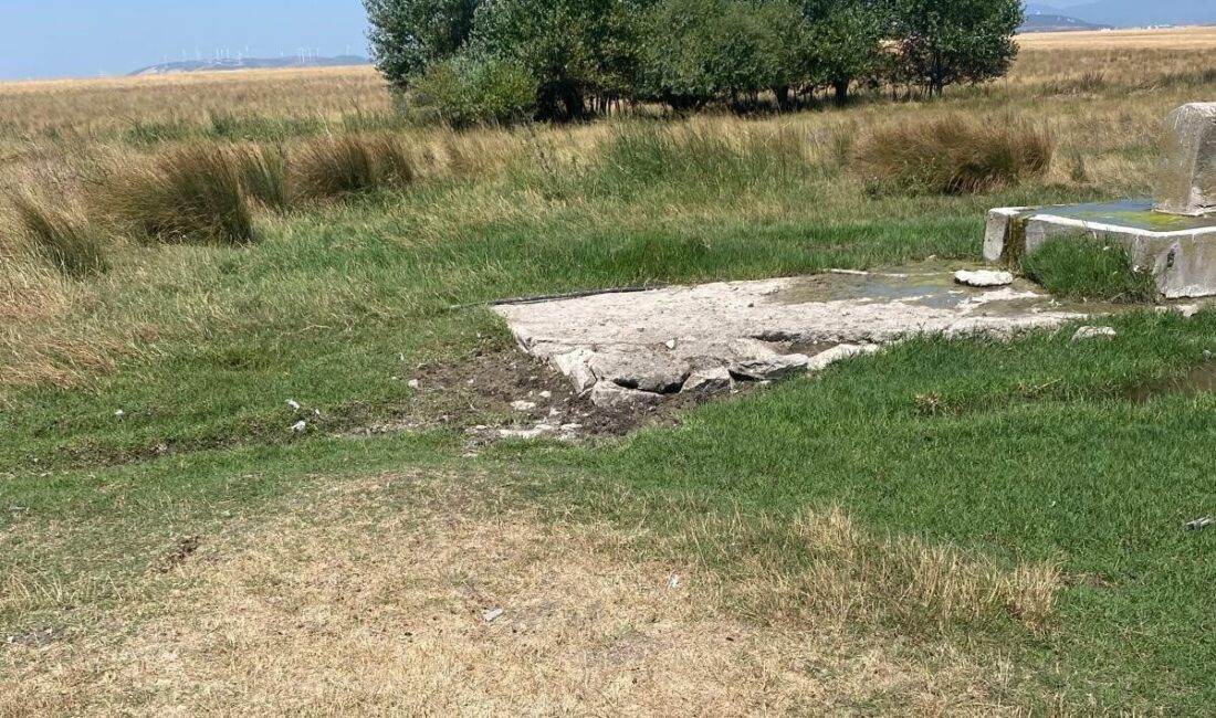 Balıkesir’in Bandırma ilçesinde 24 saatten fazla zamandır kayıp olan 19