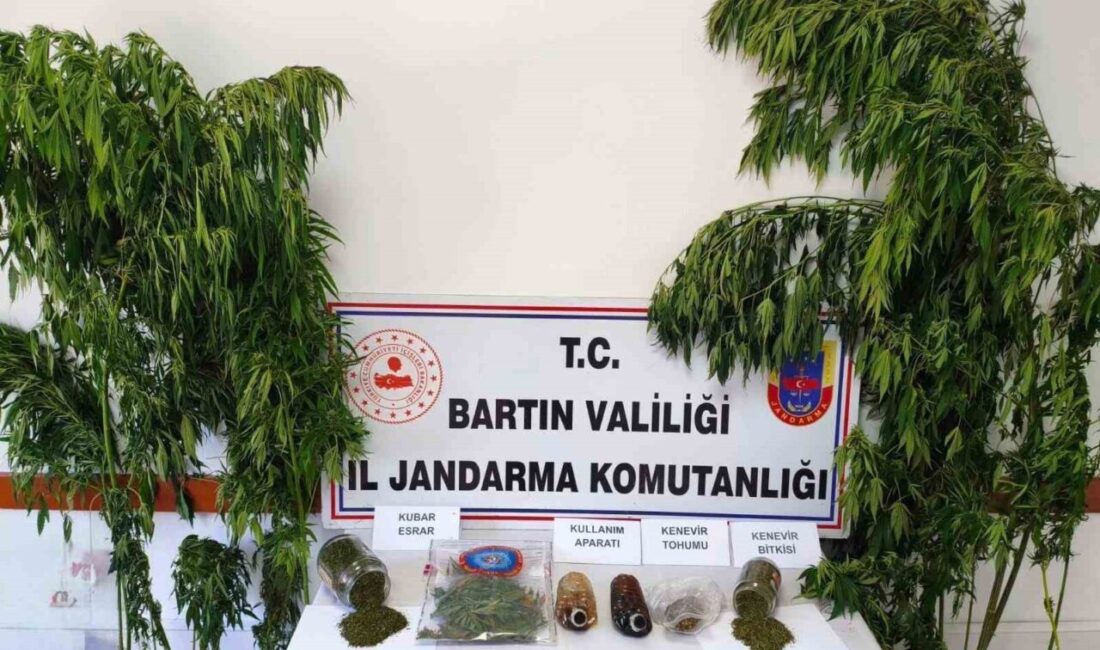 Bartın ilinde Jandarma ekipleri tarafından gerçekleştirilen bir operasyonda bir kişi
