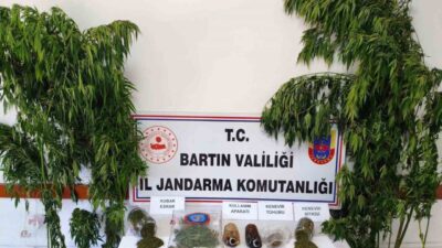 Bartın ilinde Jandarma ekipleri tarafından gerçekleştirilen bir operasyonda bir kişi