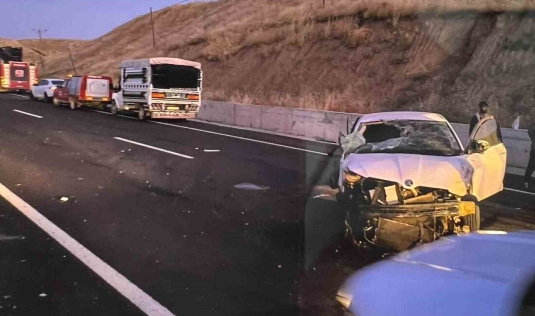 Kozluk ilçesinde meydana gelen trafik kazasında, bir sürücü kontrolünden çıkarak