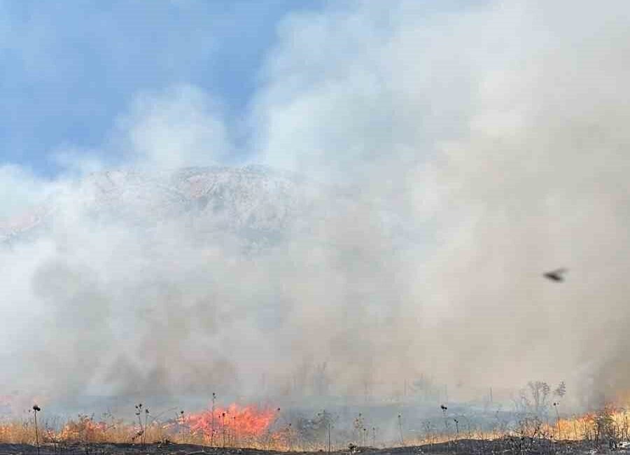 Şahinli köyüne bağlı Aydınlık Göçbeyli mezrası kırsalında çıkan yangın, koordineli