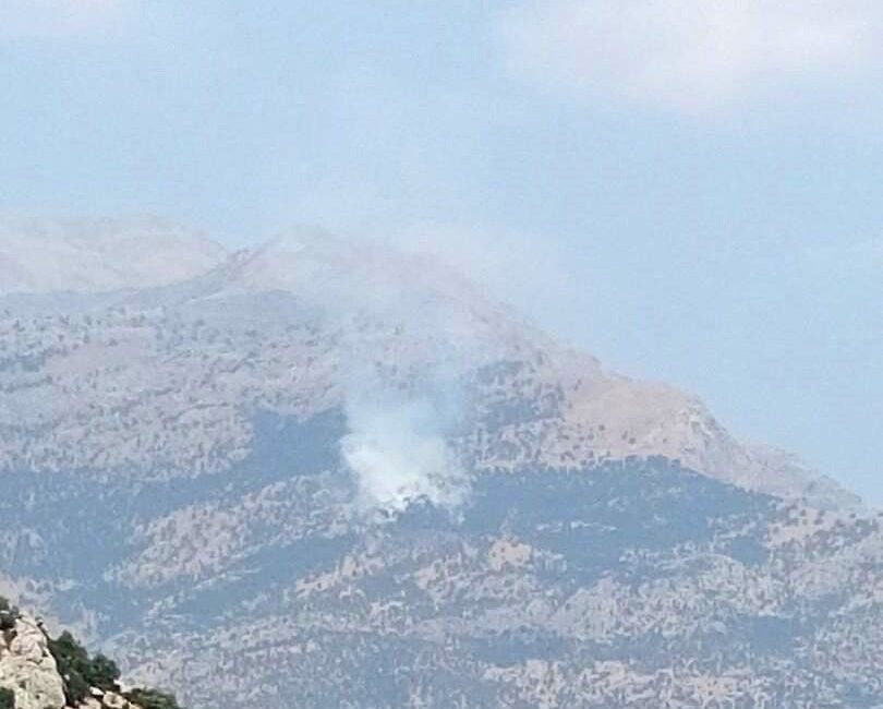 Siirt’in Baykan ilçesinde bulunan Kalems Dağı’nda meydana gelen bir yangın