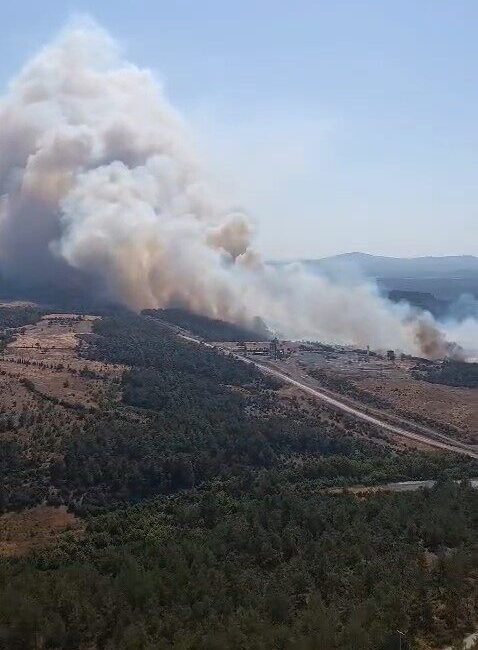 Çanakkale’nin Bayramiç ilçesindeki ormanlık alanda çıkan yangına Orman Bölge Müdürlüğü