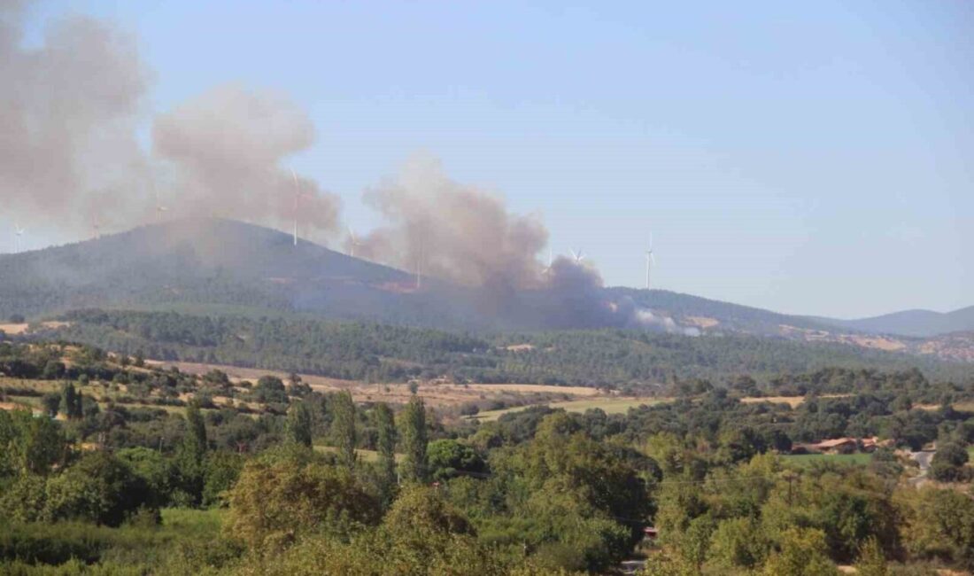 Çanakkale’nin Bayramiç ilçesinde meydana gelen orman yangınına hem hava hem
