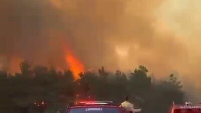 Çanakkale’nin Bayramiç ilçesinde, Muratlar köyünde bir ormanlık alanda meydana gelen