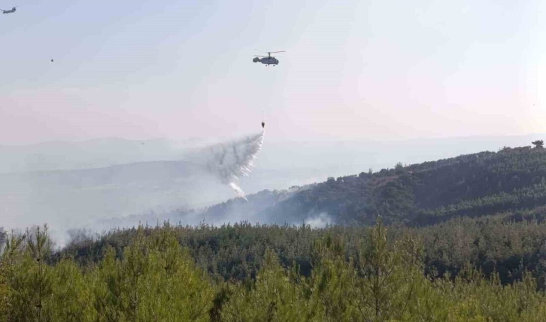 Bayramiç ilçesinde meydana gelen orman yangını, ekiplerin hava ve karadan