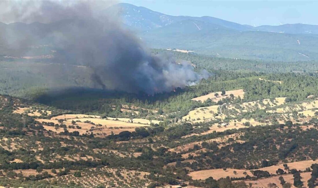 Çanakkale’nin Bayramiç ilçesinde başlayan orman yangınına hava ve kara unsurlarının