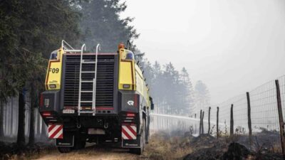 Belçika’da High Fens doğa rezervinde çıkan orman yangını, bugüne kadar