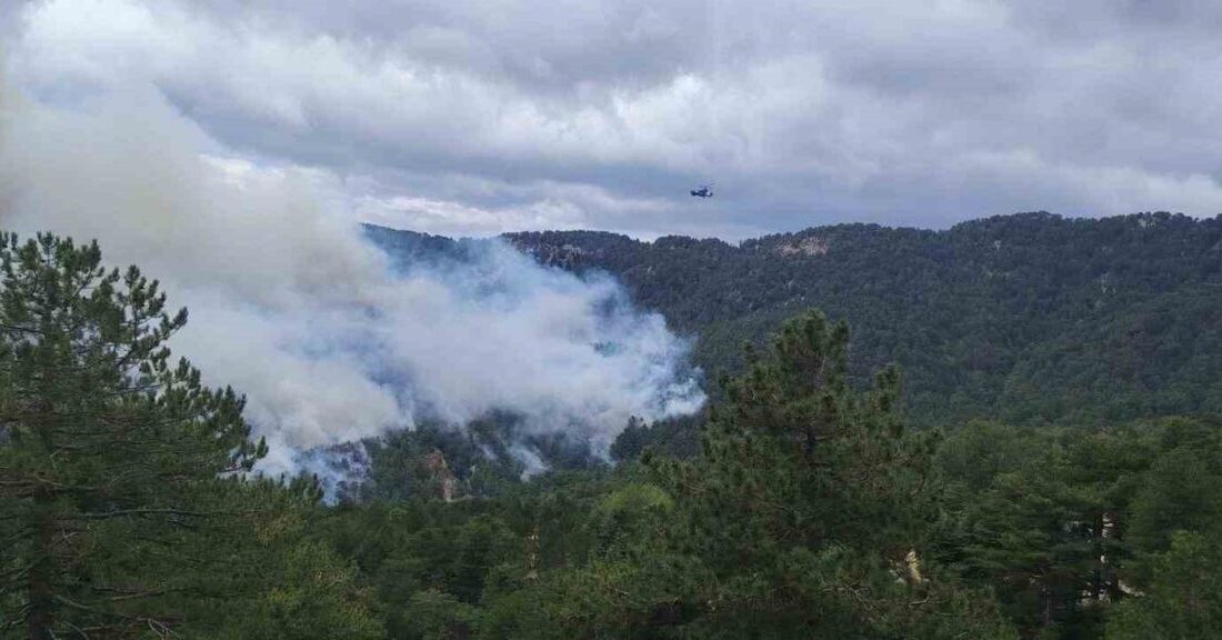 Manavgat ilçesine bağlı Beşkonak Köprülü Kanyonu yakınlarında orman yangını meydana